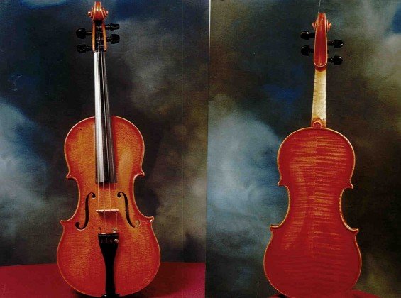 Violino Cavani